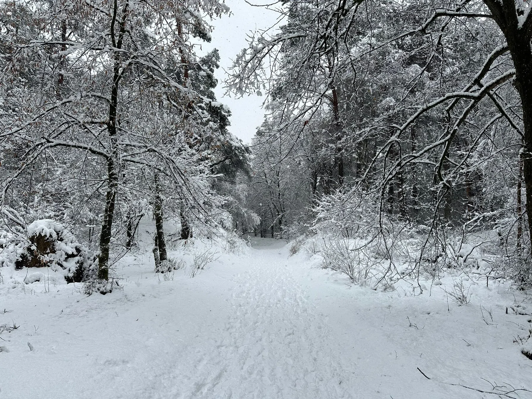 Mountainbiken in de sneeuw met de Canyon Exceed CF6